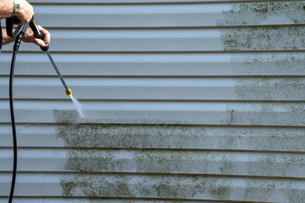 Best Same-Day Junk Removal Services  in Union City, IN