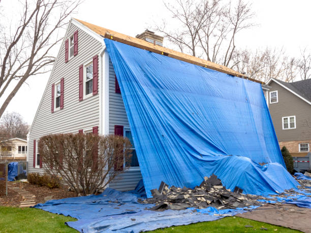 Best Shed Removal  in Union City, IN